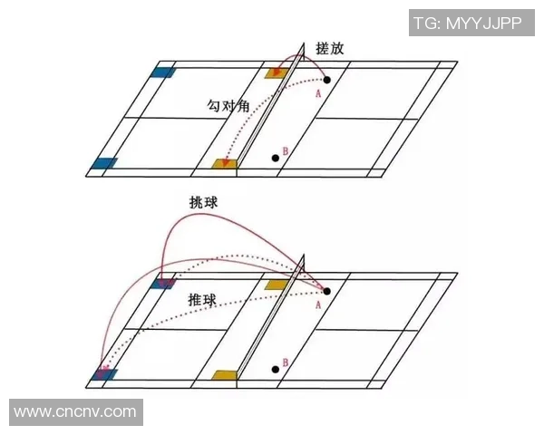 深圳羽毛球队的反击之路：深度解析与战术创新的背后故事
