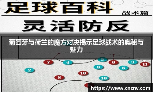 葡萄牙与荷兰的魔方对决揭示足球战术的奥秘与魅力