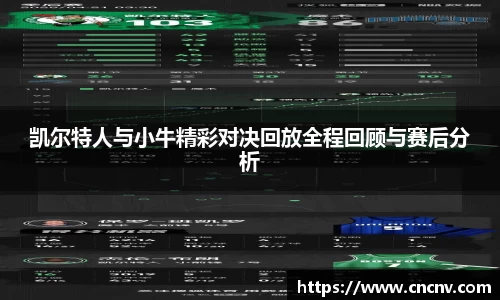 凯尔特人与小牛精彩对决回放全程回顾与赛后分析