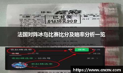 法国对阵冰岛比赛比分及赔率分析一览
