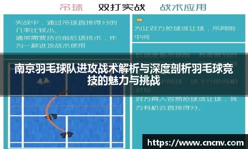 南京羽毛球队进攻战术解析与深度剖析羽毛球竞技的魅力与挑战